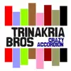 Trinakria Bros - Crazy Accordion